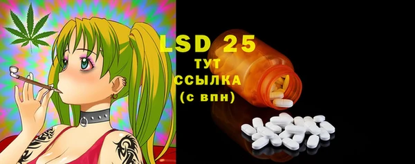 ECSTASY Белокуриха